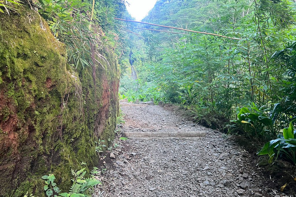 Manoa Falls trail