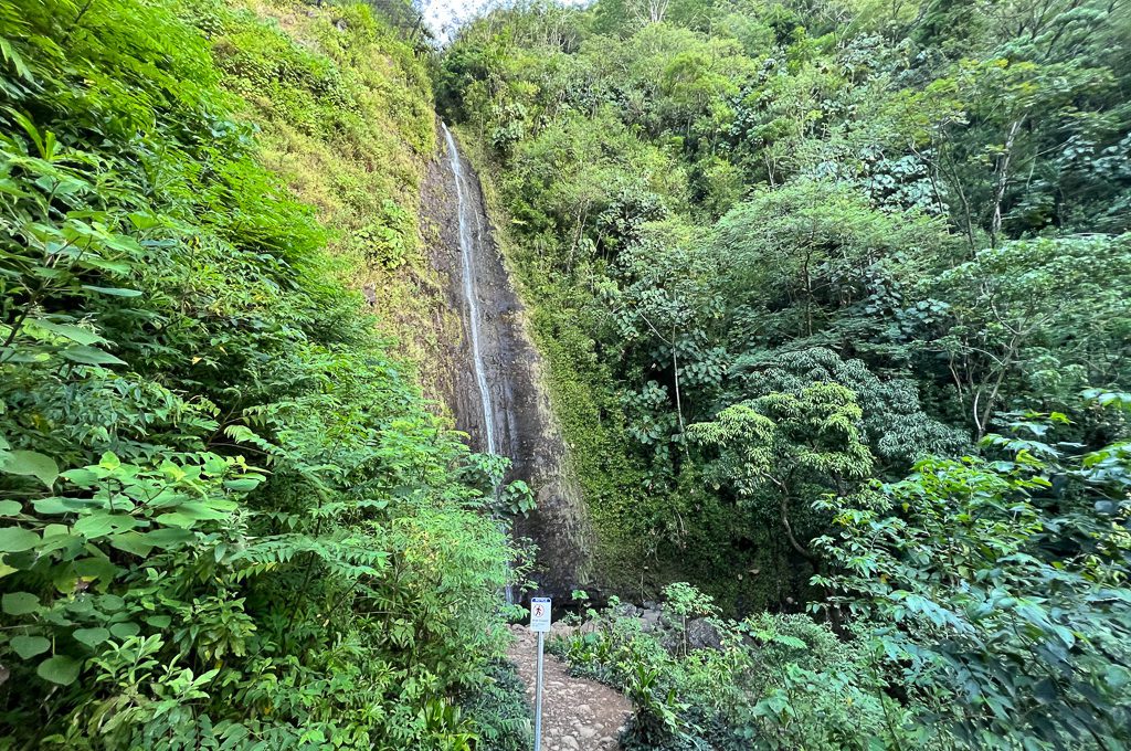 Manoa Falls