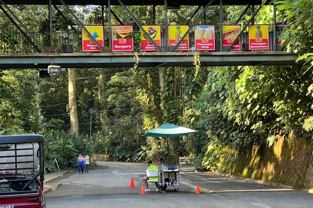 Manoa Falls parking attendant