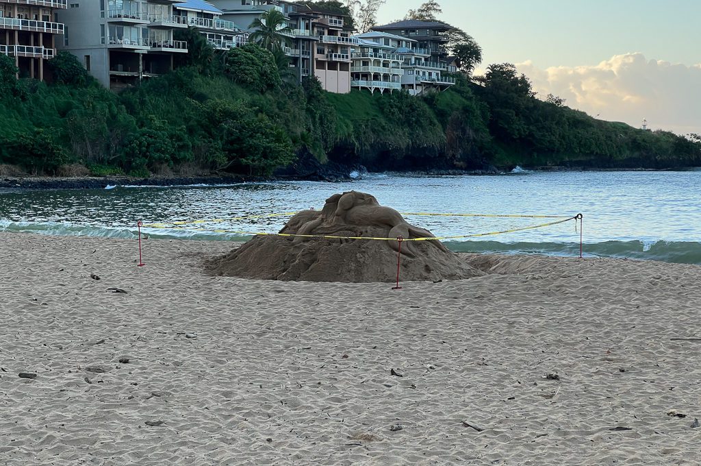 Marriott's Kauai Beach Club beach