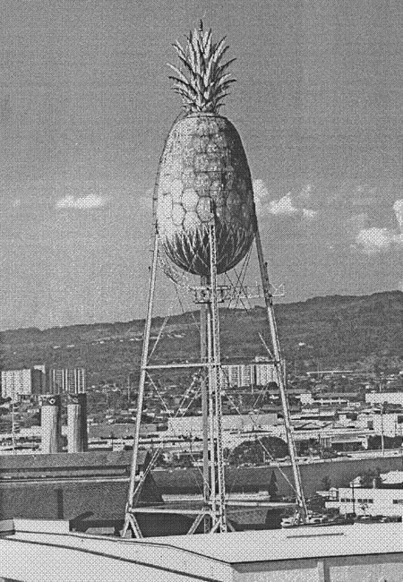 dole pineapple cannery tour honolulu