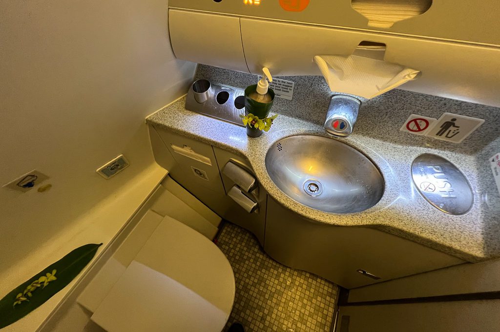 Hawaiian Airlines First Class A330 aisle lavatory