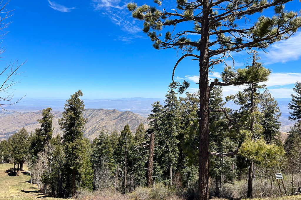 Mt Lemmon Ski Valley Sky Ride view