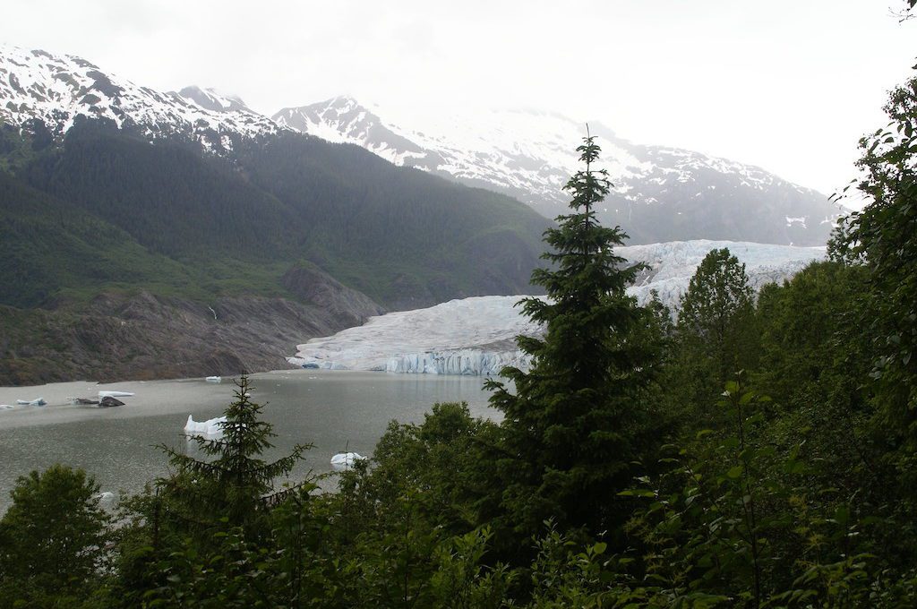 View from the East Glacier Loop Trail.