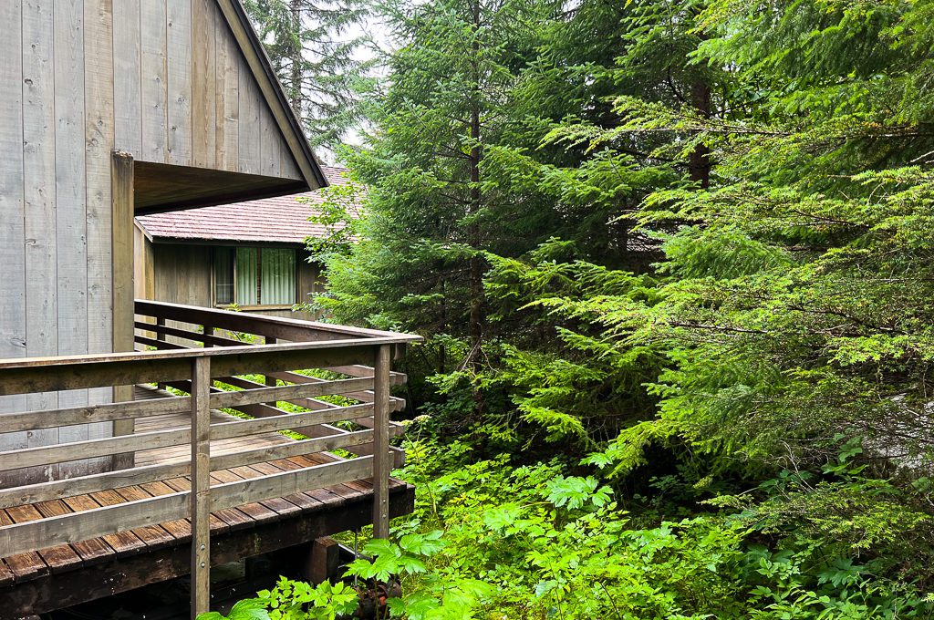 Glacier Bay Lodge cabins