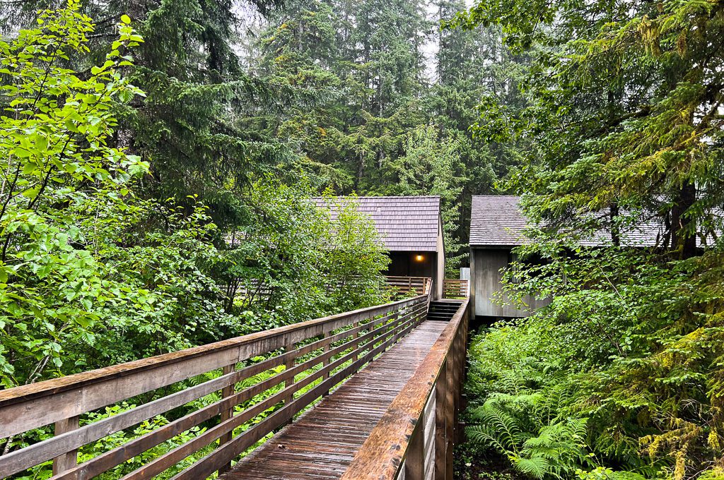 Glacier Bay Lodge cabins