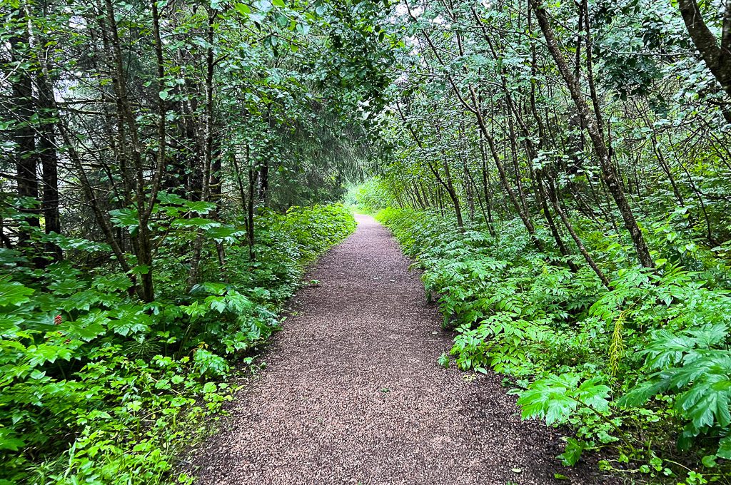 Glacier Bay Lodge hiking trail