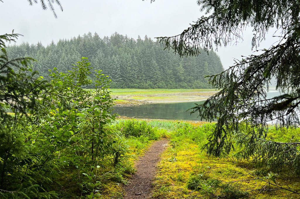 Glacier Bay Lodge hiking trail