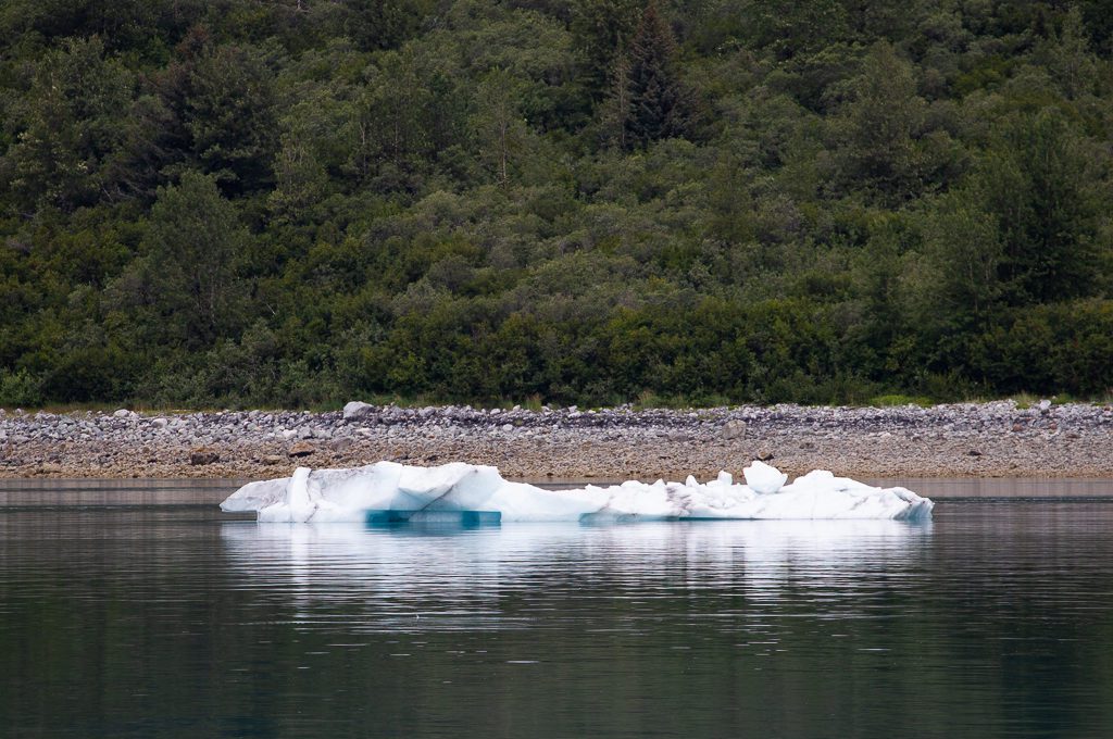 Glacier Bay National Park iceberg