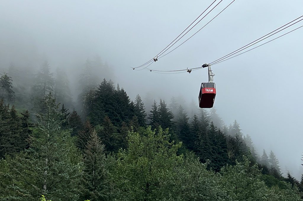 Mount Roberts Tramway fog