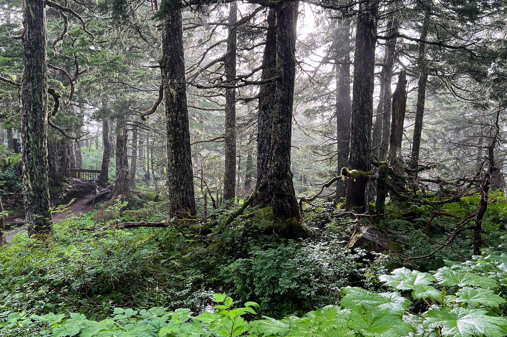 Mount Roberts Tramway hiking trail