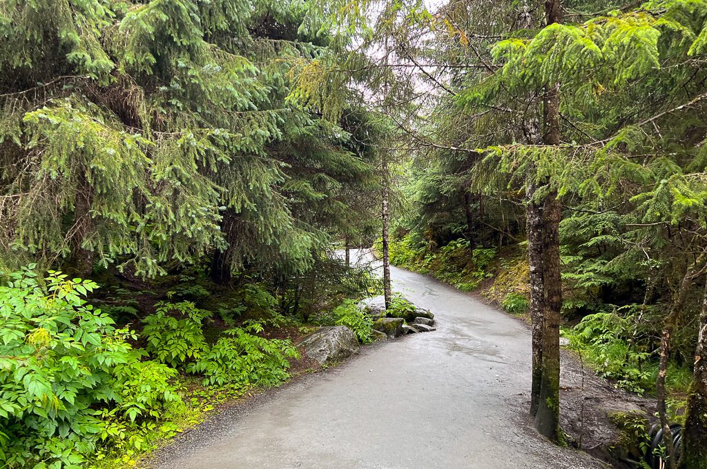 Nugget Falls trail