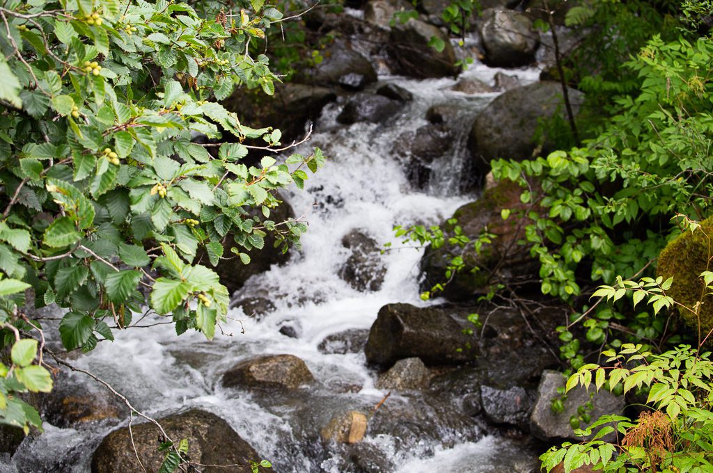 Nugget Falls trail stream