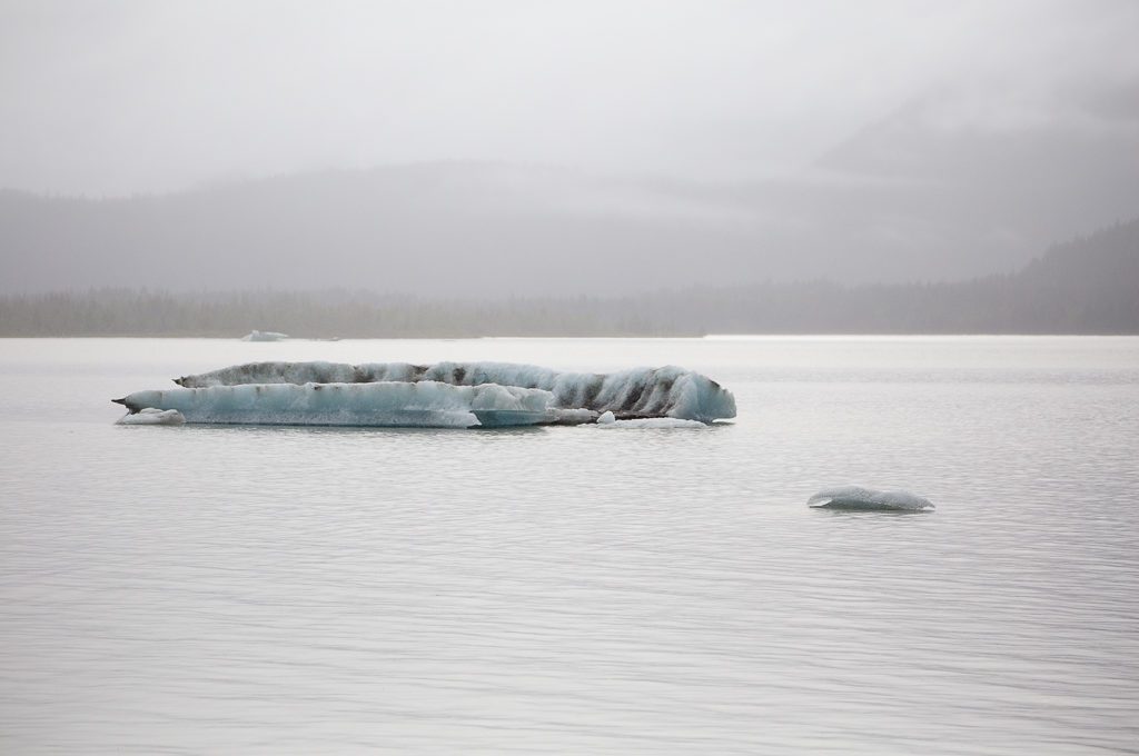 Mendenhall Glacier iceberg