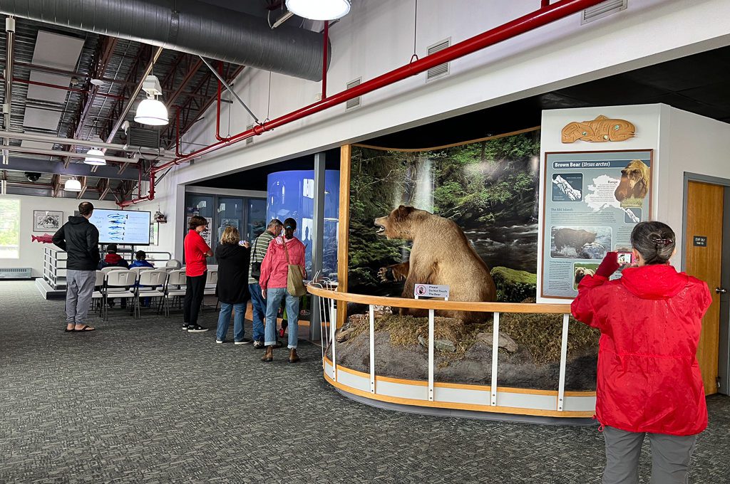 salmon hatchery tour juneau