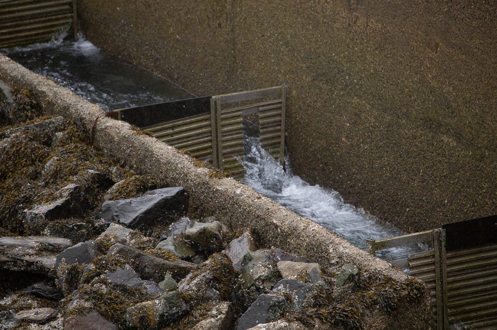 DIPAC's Macaulay Salmon Hatchery Juneau salmon ladder