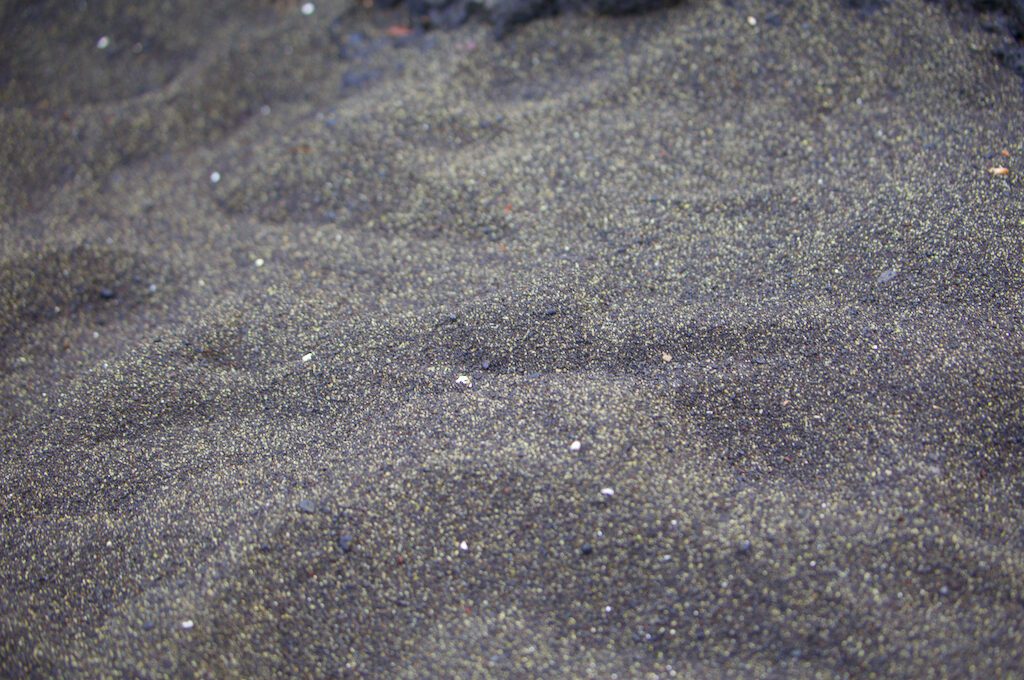 Richardson Ocean Park Black Sand Beach green