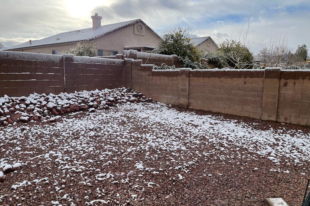Tucson backyard with snow