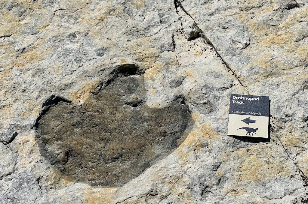 Dinosaur Ridge dinosaur track