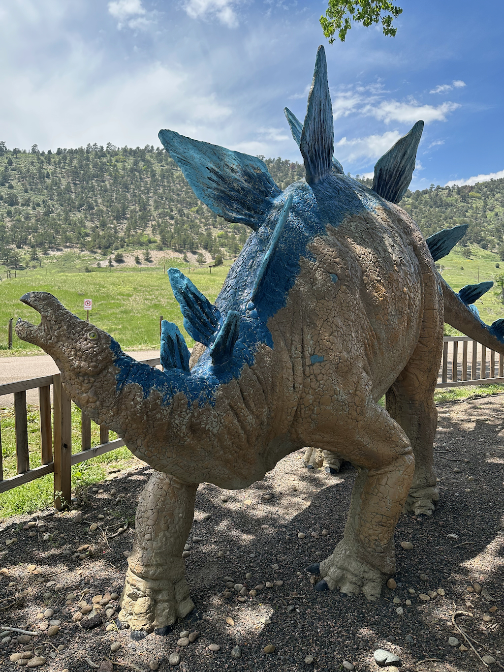 Dinosaur Ridge visitor center