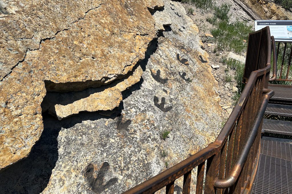 Dinosaur Ridge trail crocodile Creek