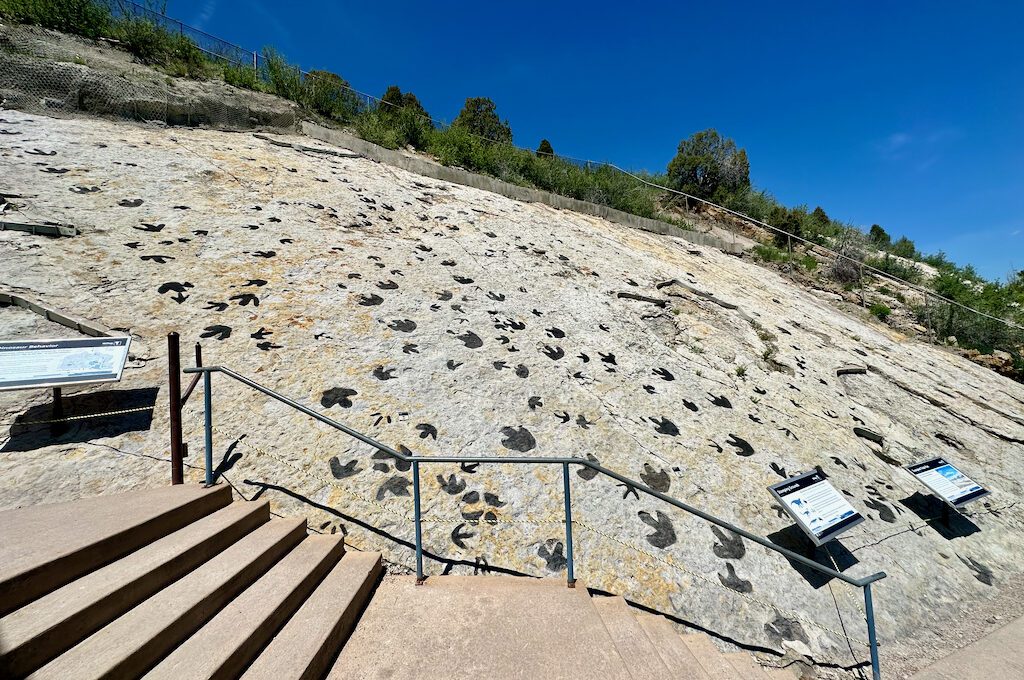 Dinosaur Ridge trail dinosaur tracks