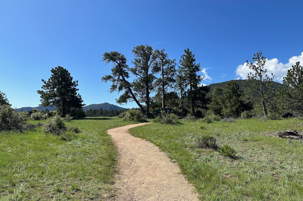 The Birch Ruins trail