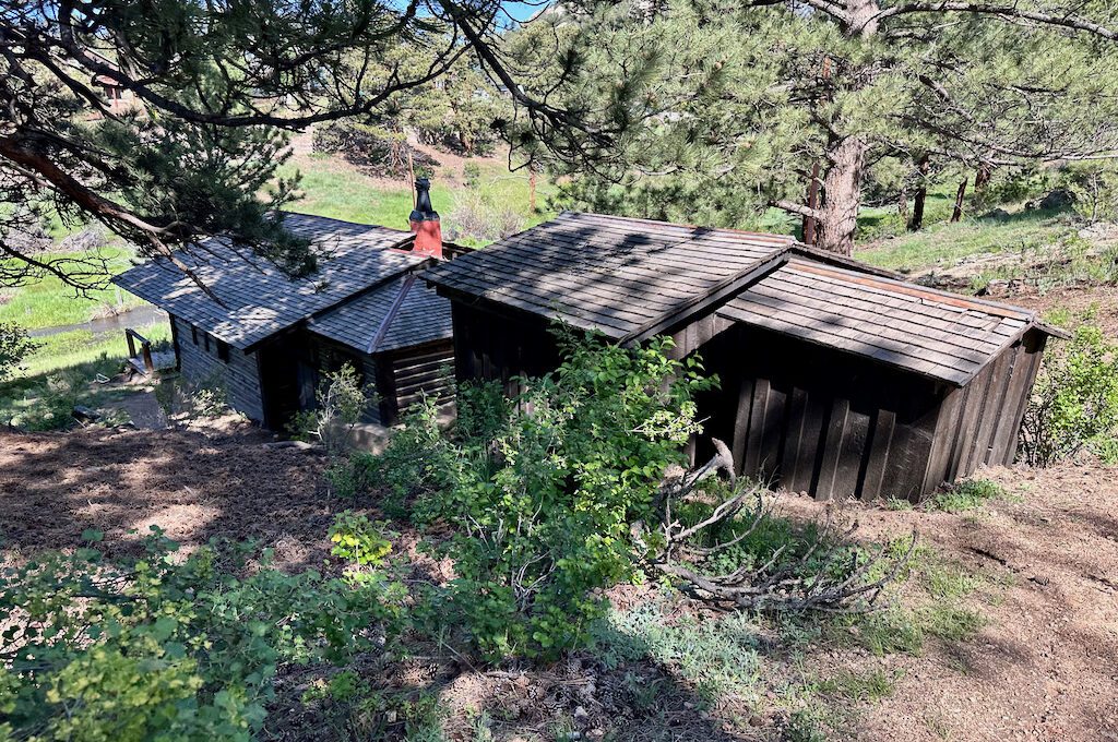 The Birch Ruins cabin