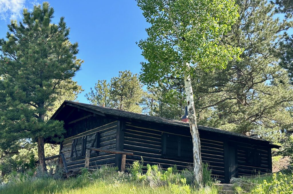 The Birch Ruins cabin