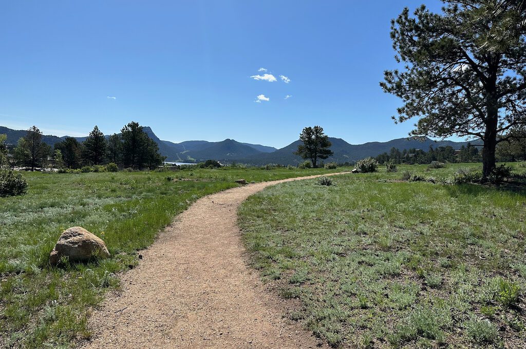 The Birch Ruins trail