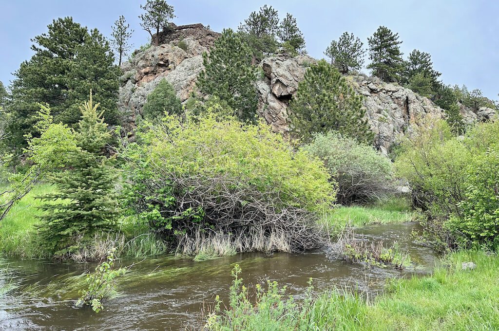 The Birch Ruins trailhead