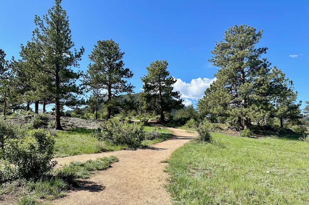 The Birch Ruins trail