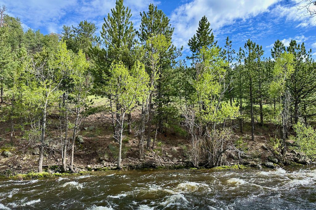 Estes Park River Walk