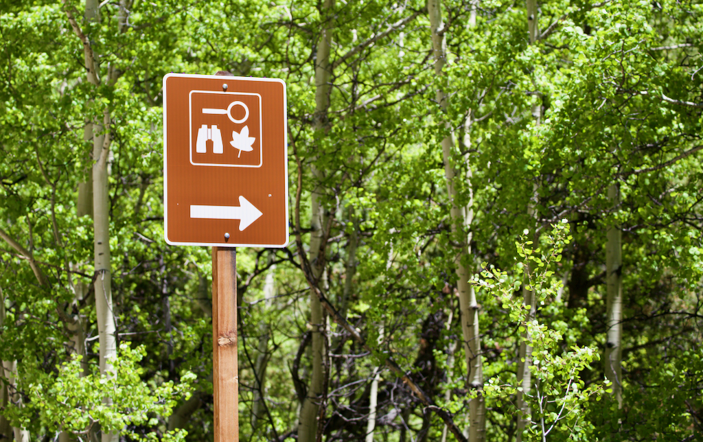 Guanella Pass Scenic Byway leaves sign