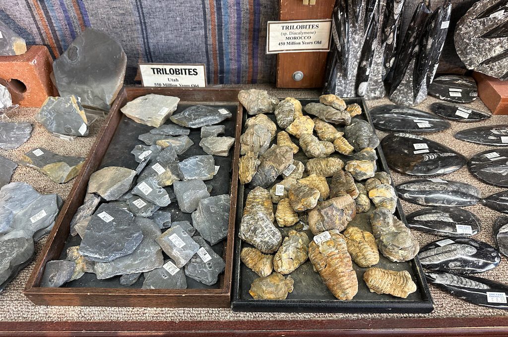 Ore Cart Rock Shop fossils