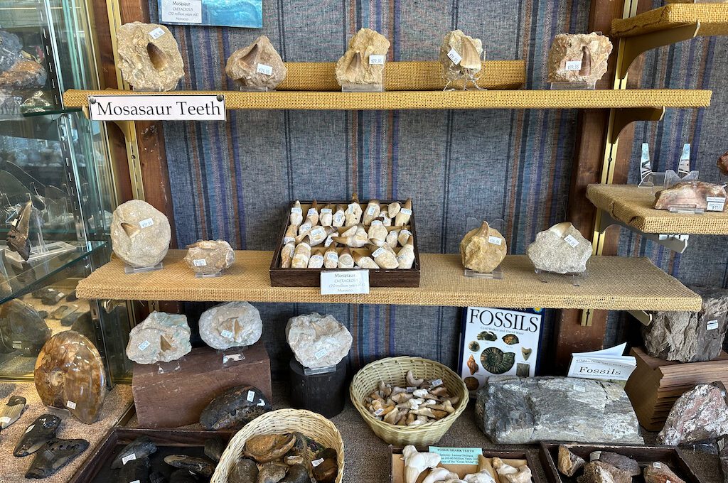 Ore Cart Rock Shop fossils