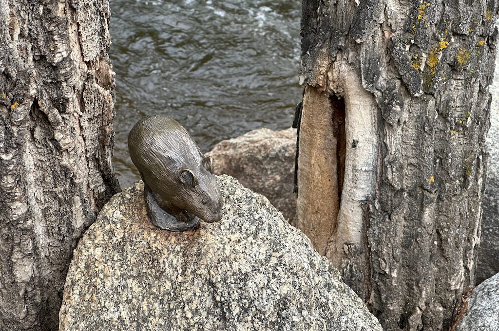 Estes Park River Walk