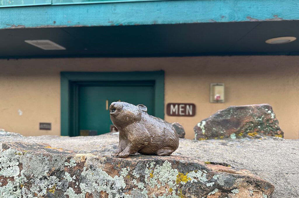 Pikas in the Park statue Estes Park Scavenger Hunt
