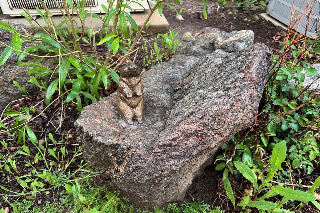 Pikas in the Park statue Estes Park Scavenger Hunt
