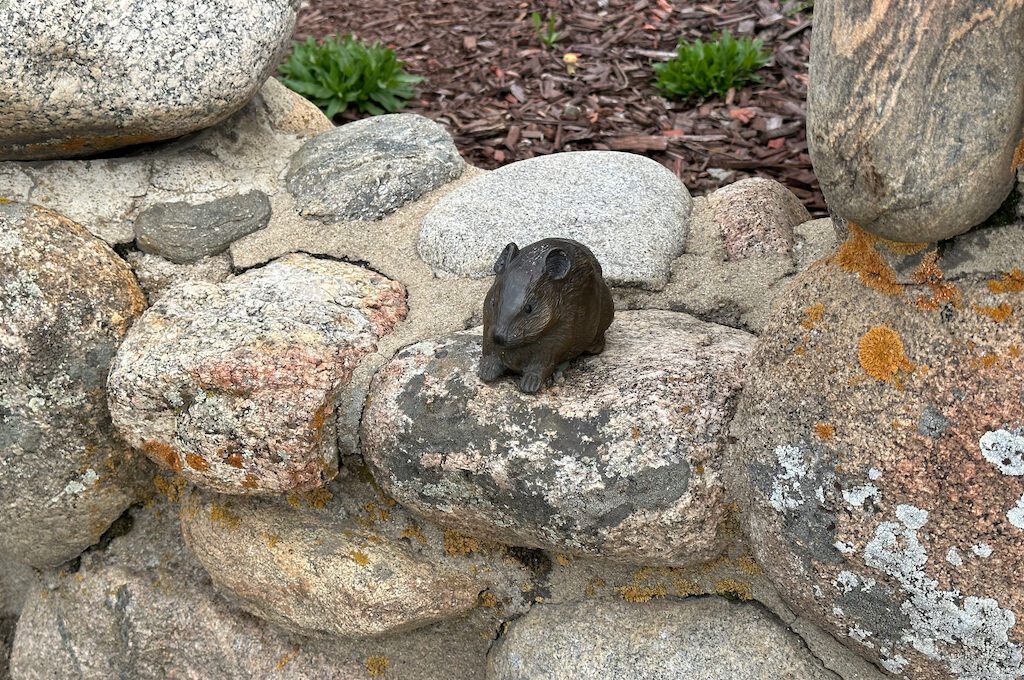 Pikas in the Park statue Estes Park Scavenger Hunt
