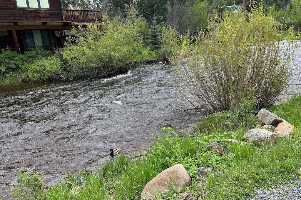 Red Rose Rock Shop river