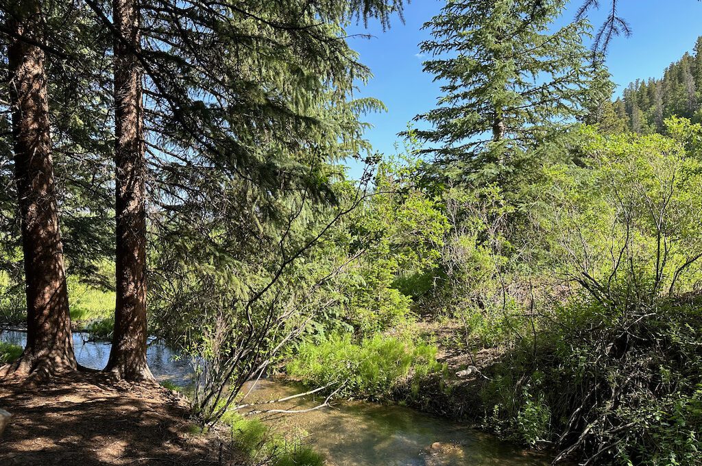 Breckenridge Troll trail