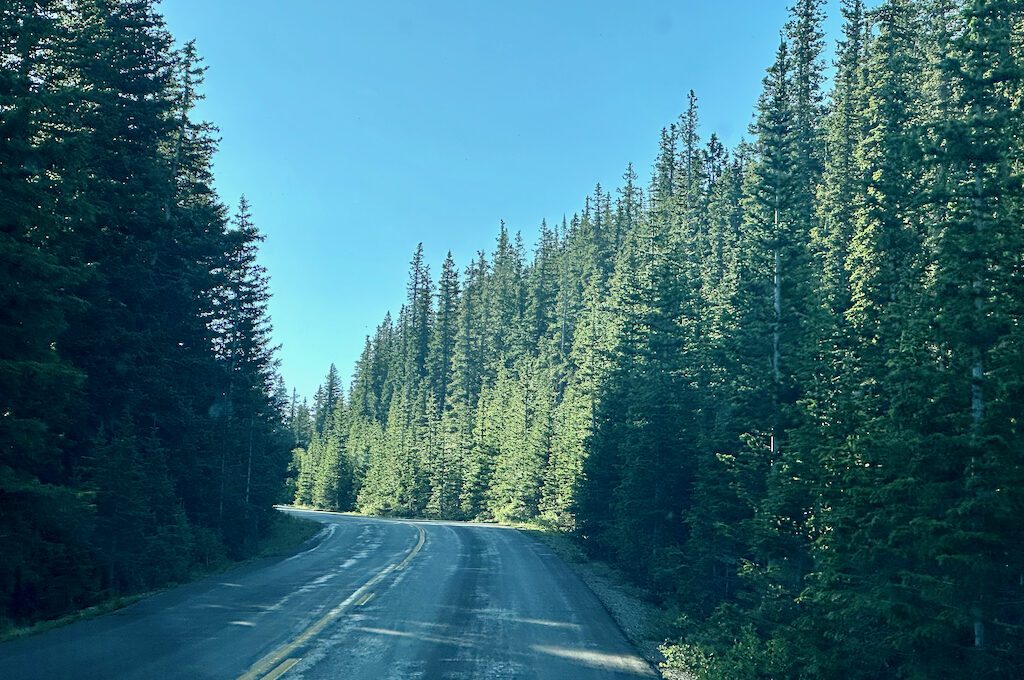 Mount Evans Scenic Byway