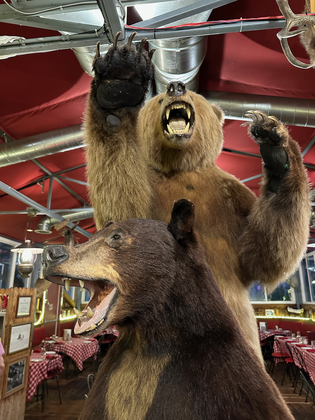 A stuffed bears in a restaurant