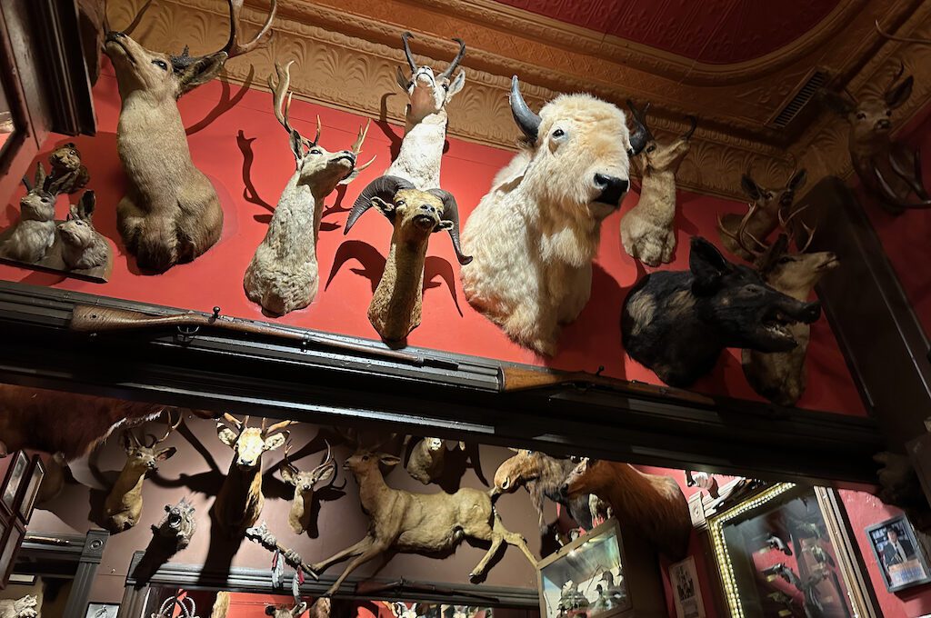 A wall of stuffed animals