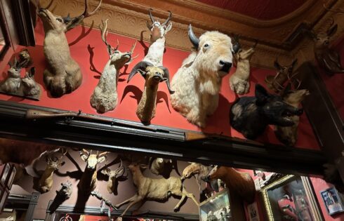 A wall of stuffed animals