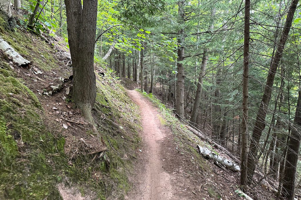 Morgan Falls Michigan Trail