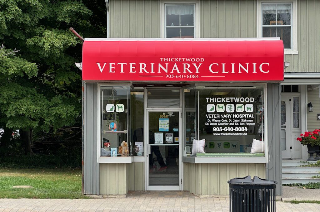 vet clinic