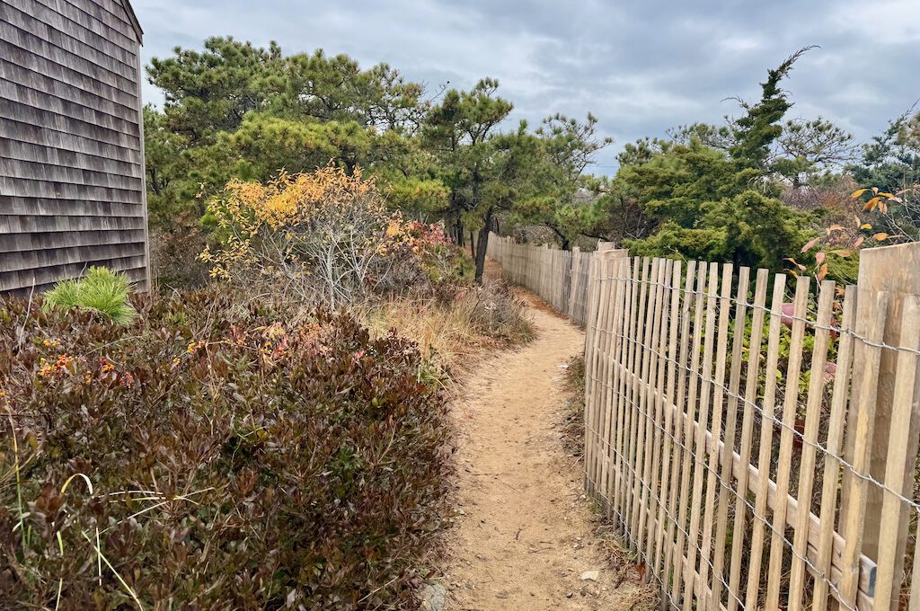 Nauset Lighthouse trail