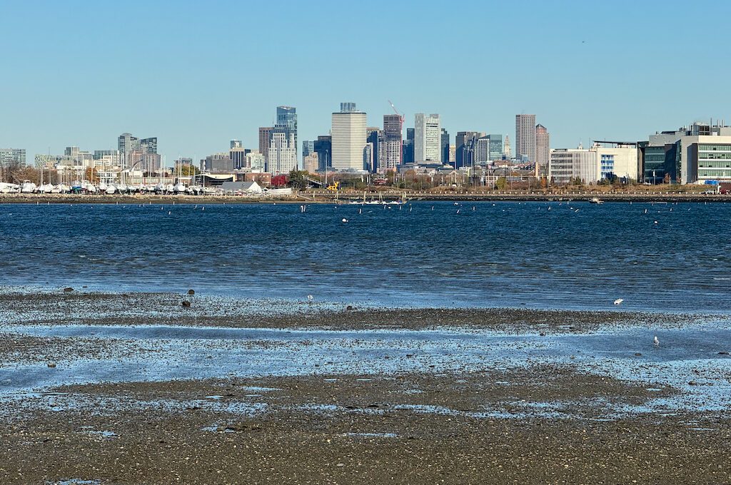 Downtown Boston from Squantum Point Park